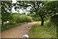 Footpath, Langley Park