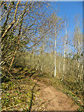 ST1282 : Steep path connecting two levels on Little/Lesser Garth Hill by Gareth James