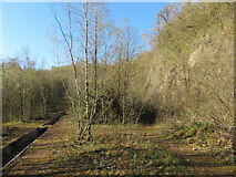 ST1282 : In former quarry workings on Lesser Garth Hill by Gareth James
