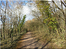 ST1282 : Footpath along northern edge of Taffs Well Quarry by Gareth James