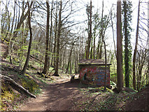 ST1281 : Path through Garth Wood by Gareth James