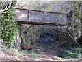 Footbridge over the trackbed of the Barry Railway in Garth Wood