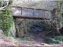 ST1281 : Footbridge over the trackbed of the Barry Railway in Garth Wood by Gareth James
