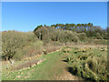 Footpath to Lesser Garth Hill