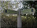 SP5202 : Thames Path signpost near Kennington by Steve Daniels