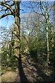 Footpath off Otley Road