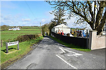 H5467 : Patricks Road, Cooley by Kenneth  Allen