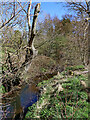 Penn Brook north of Gospel End in Staffordshire