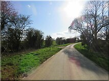 SK8418 : Glebe Road away from Wymondham by Andrew Tatlow