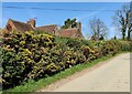 Hightrees Farm at Shatterford