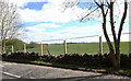 Field alongside Shetcliffe Lane, Bierley, Bradford