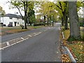 Tree-lined Bournville Lane