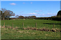 Pasture off Crankley Lane