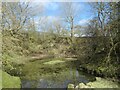 Pond in Disused Quarry