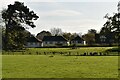 Farmland, Grange Farm