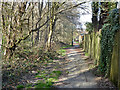 Path behind houses on Longhurst Road, Broadfield, Crawley