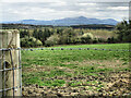 S6261 : Fence and Field by kevin higgins