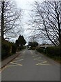 School Lane, Ashurstwood