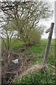 Footpath by a Stream in Wiggens Green