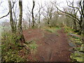 Path on Congleton Edge