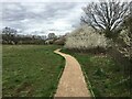 Path across Ash Green Meadows