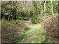 Path, Broadfield, Crawley