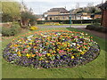 Flowerbed in Woolwich Old Cemetery