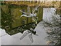 Dragonfly sculpture, Moat Pond, Wroughton