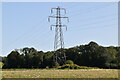 Pylon near Little Cossington Farm