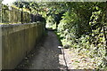 Footpath by the River Medway