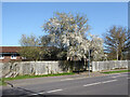 Coachmans Drive South bus stop, Broadfield, Crawley