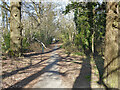 Path parallel with A23, Broadfield, Crawley