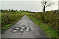 Potholes along Crossan Road