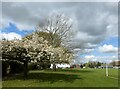 The Mount playing fields, Ospringe