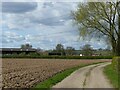 SK6845 : Farm track near Lowdham by Alan Murray-Rust