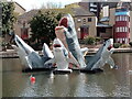 View of sharks in City Road Basin