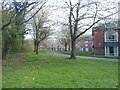 Tree blossom and halls of residence