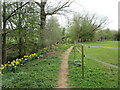 Footpath by the Cocker Beck