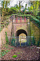 Tunnel under Madeira Walk