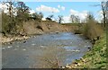 Eroded bank of the Ure