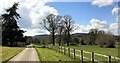 Drive and public footpath through Bignor Park