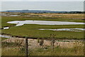 TQ9418 : Rye Harbour National Nature Reserve by N Chadwick