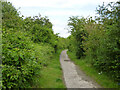 Public footpath RC36, Princes Park