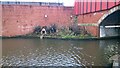 Bird garden, Bridge 89, Rochdale Canal, Manchester