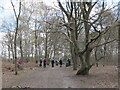 Rambling group in Egypt Woods