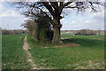 Farmland at Burton Green 