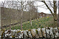 Fell House from Birkett Lane