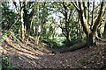 Footpath, Paraker Wood