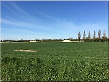 TL3467 : Fields by St John's College Farm by Mr Ignavy