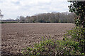 Farmland at Burton Green